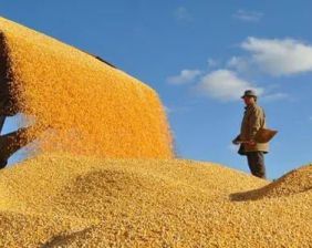 顆粒歸倉的背后，有潔能保的強力護航