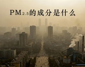 PM2.5的成分是什么？