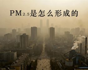 PM2.5是怎么形成的？